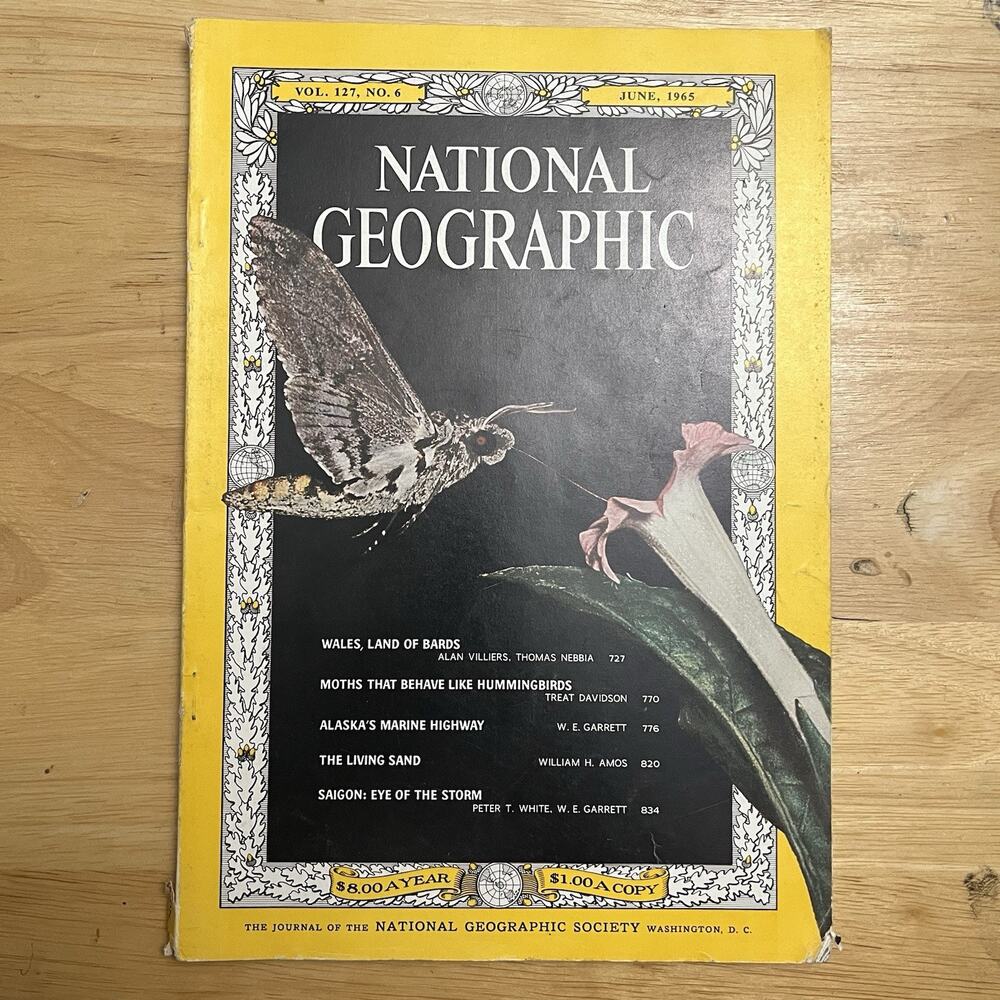 Vintage National Geographic June 1965 Wales Moths Alaska Sand Dunes Saigon